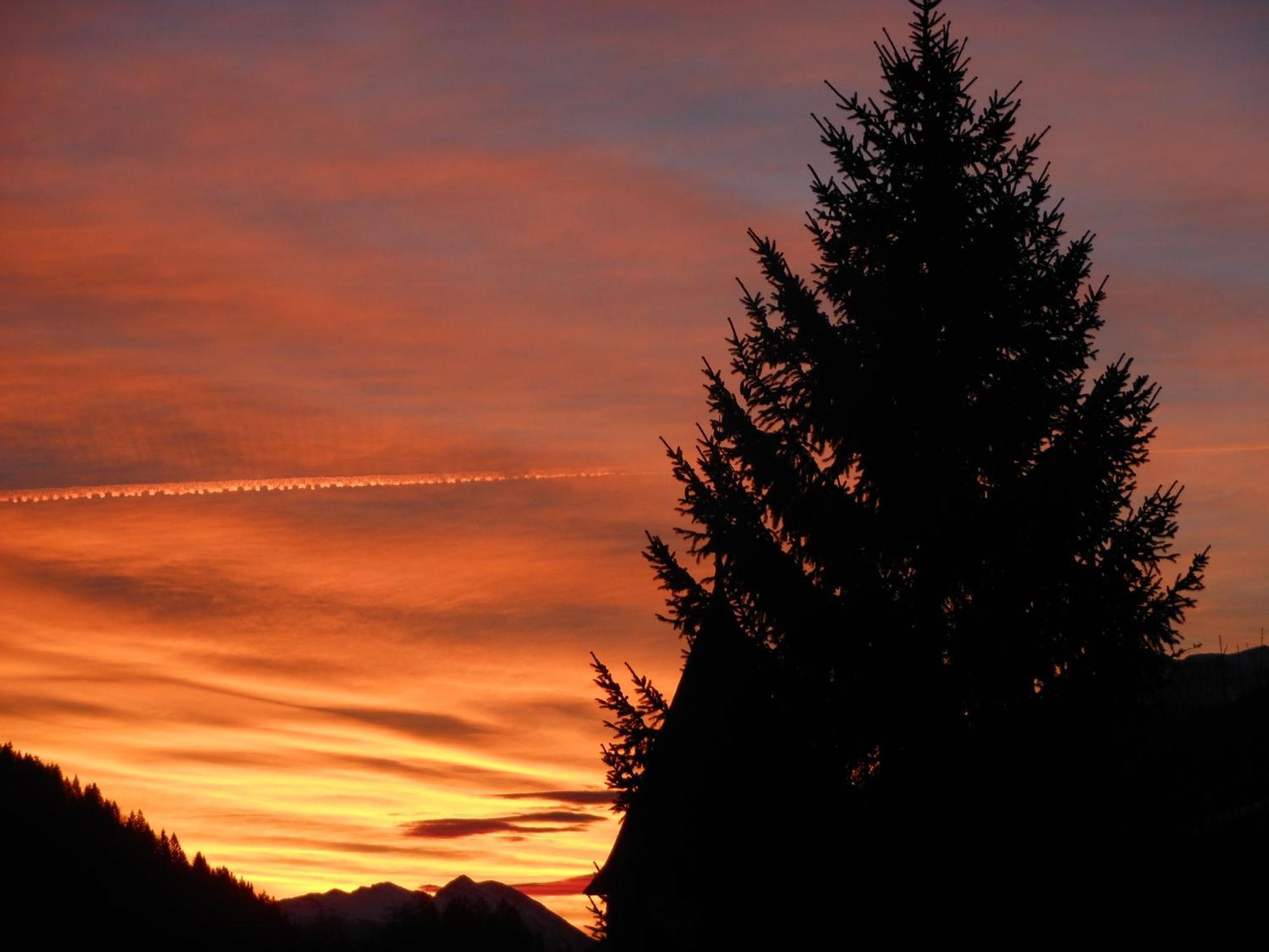 Tempfer 2 Apartments & Rooms With New Wellness Kranjska Gora Buitenkant foto