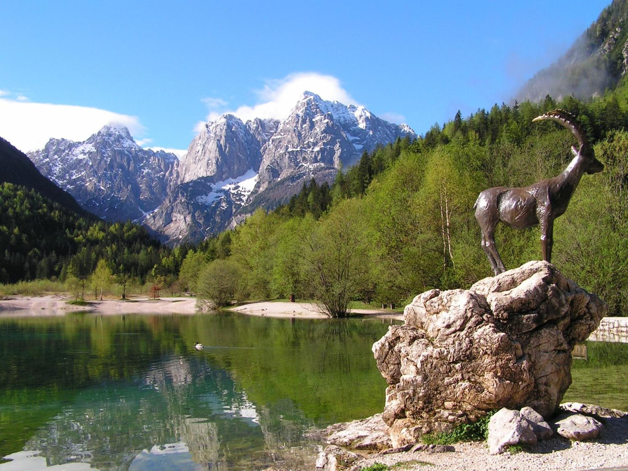 Tempfer 2 Apartments & Rooms With New Wellness Kranjska Gora Buitenkant foto