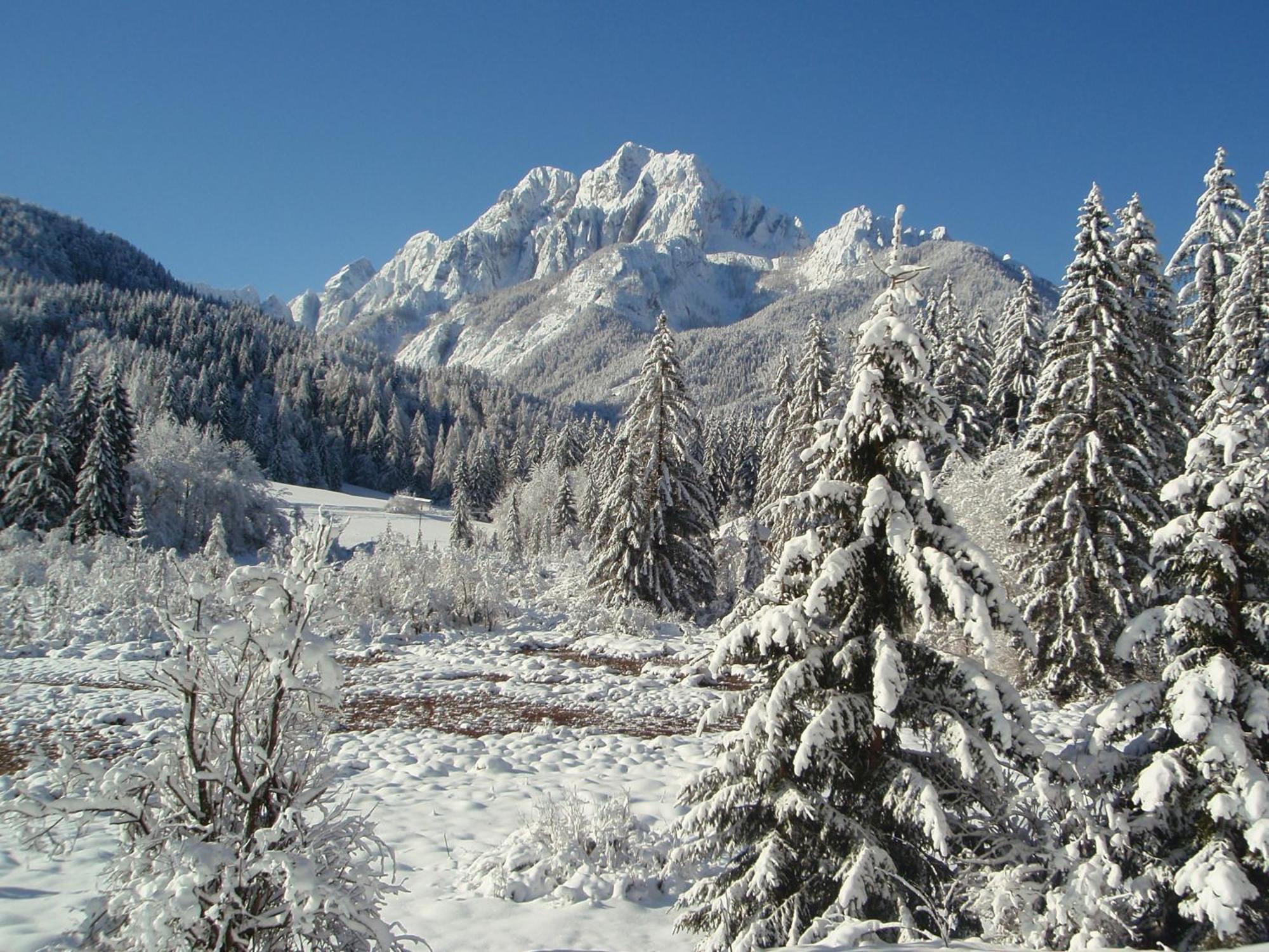 Tempfer 2 Apartments & Rooms With New Wellness Kranjska Gora Buitenkant foto