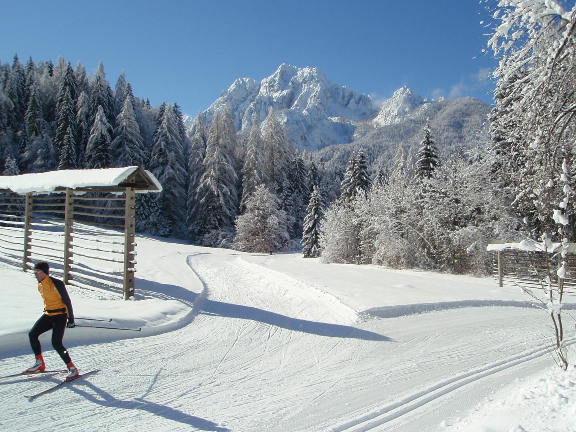 Tempfer 2 Apartments & Rooms With New Wellness Kranjska Gora Buitenkant foto