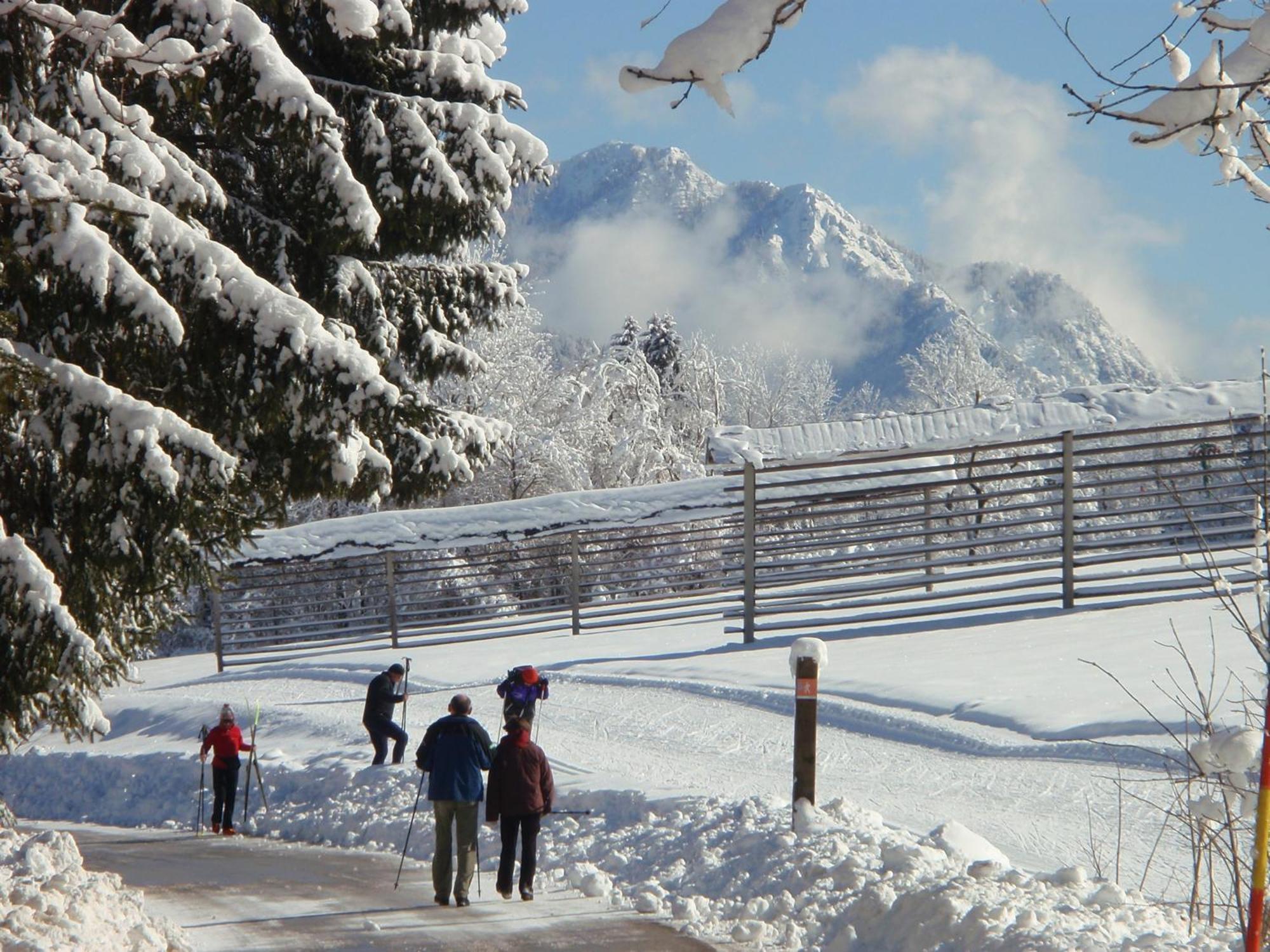 Tempfer 2 Apartments & Rooms With New Wellness Kranjska Gora Buitenkant foto