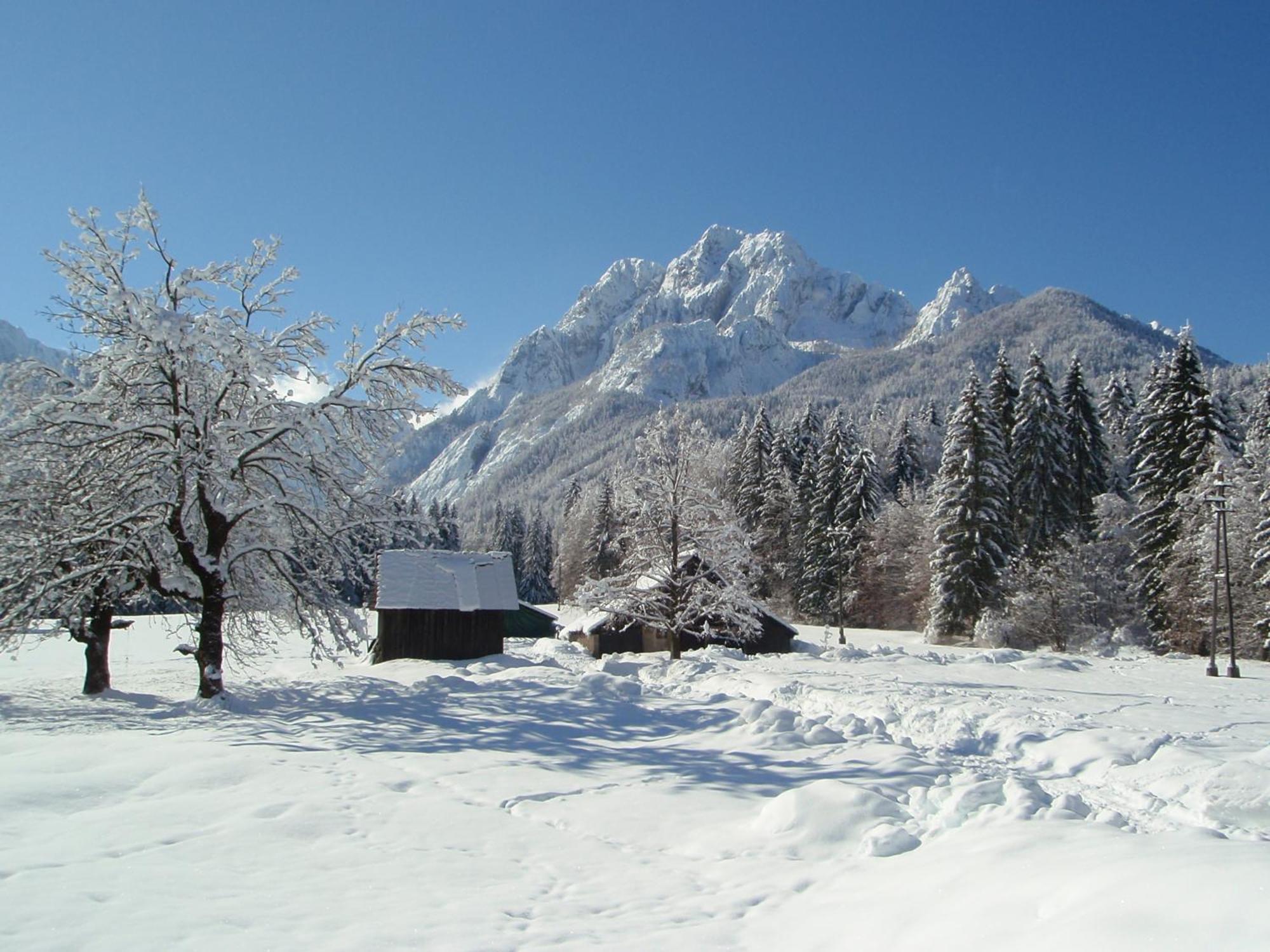 Tempfer 2 Apartments & Rooms With New Wellness Kranjska Gora Buitenkant foto