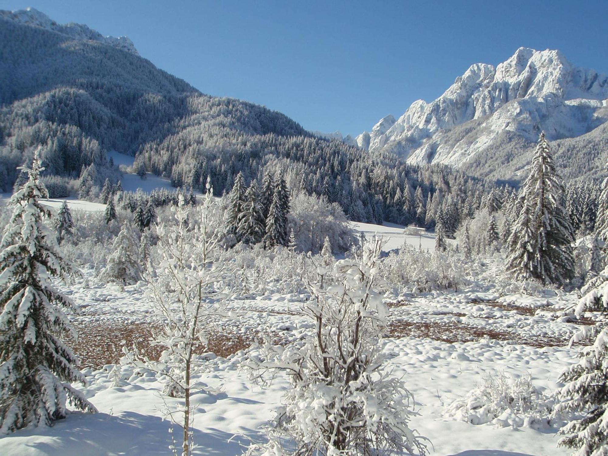 Tempfer 2 Apartments & Rooms With New Wellness Kranjska Gora Buitenkant foto