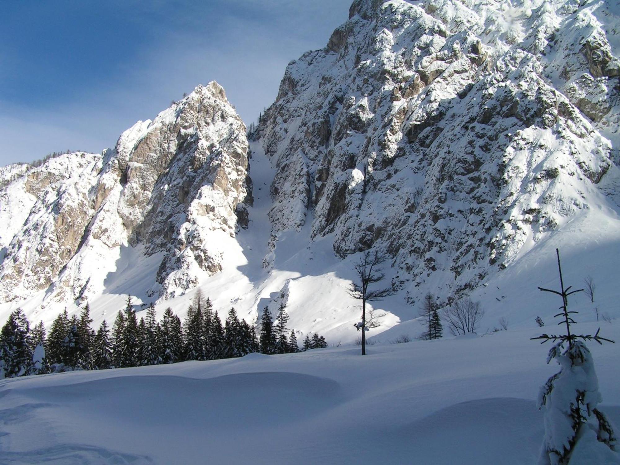 Tempfer 2 Apartments & Rooms With New Wellness Kranjska Gora Buitenkant foto