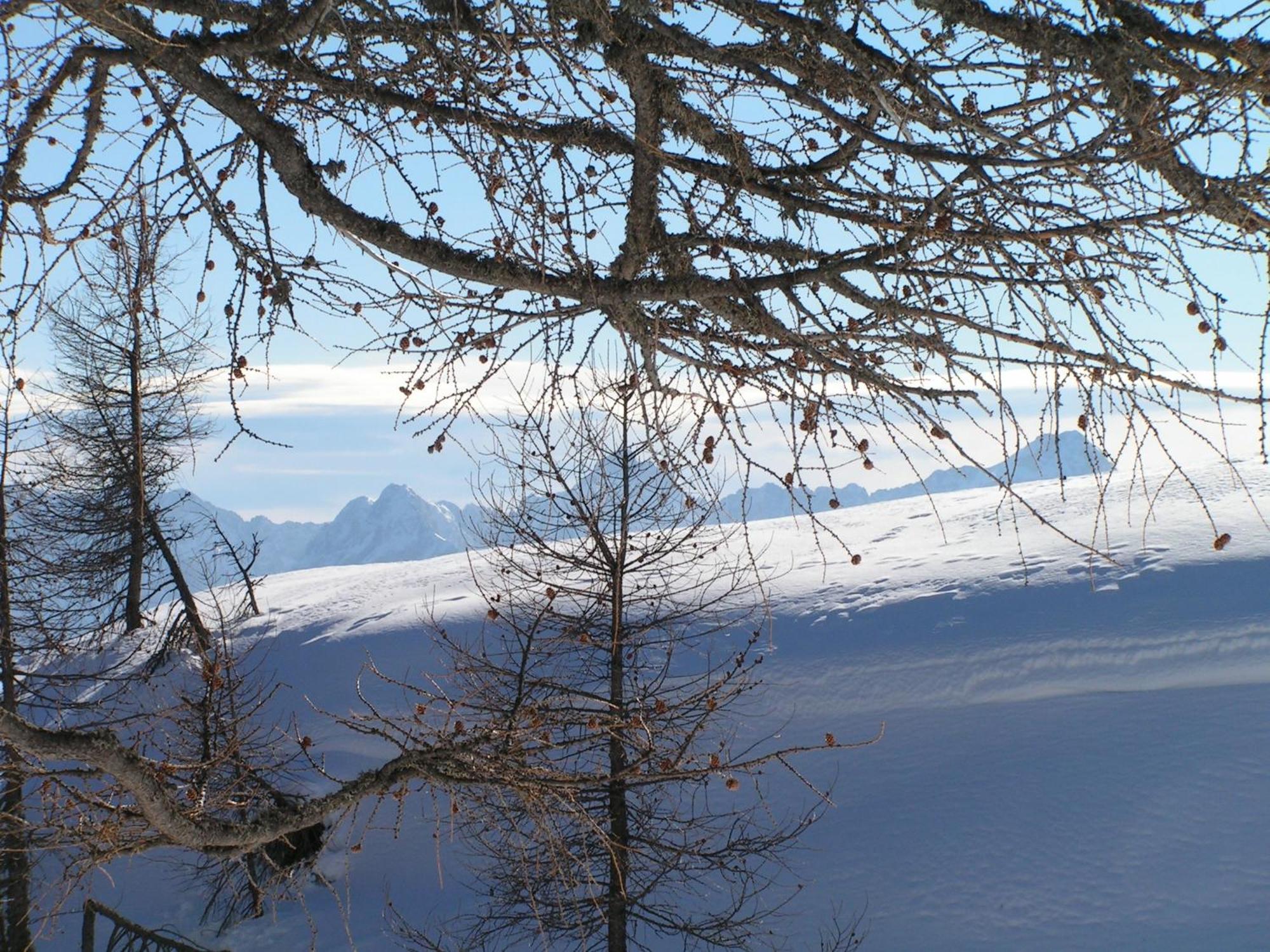 Tempfer 2 Apartments & Rooms With New Wellness Kranjska Gora Buitenkant foto